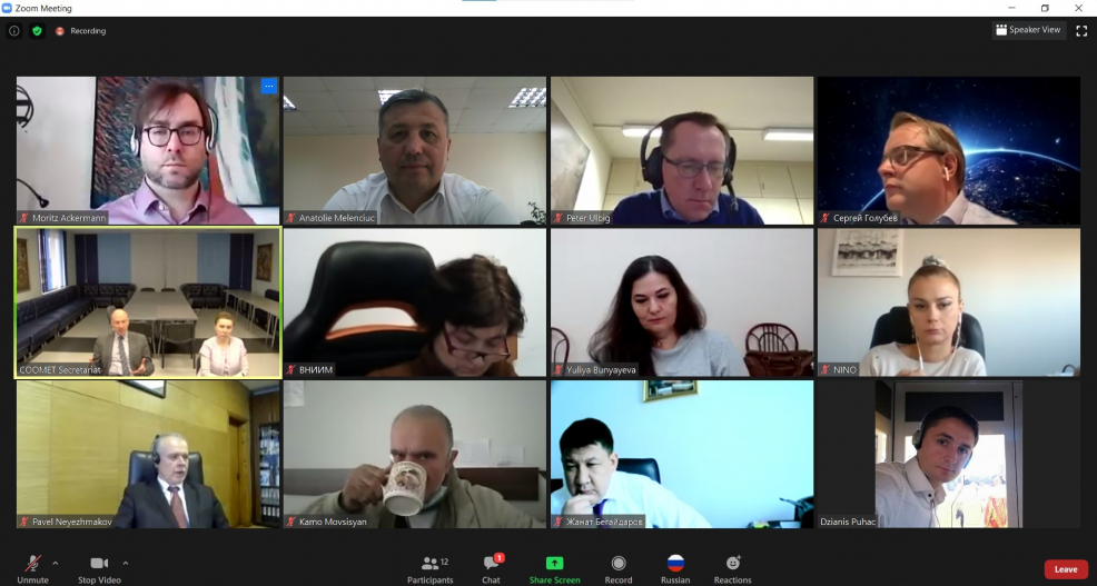 The meeting of the Working Group for Preparation of the COOMET Development Strategy 